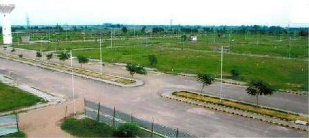  Residential Plot for Sale in Sector 11 Faridabad
