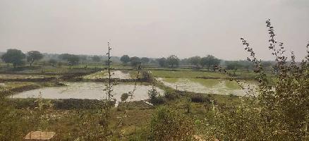  Agricultural Land for Sale in Nawagarh, Bemetara