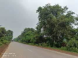 5 Acre Agricultural Land for Sale in Naya Raipur, Raipur