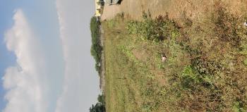  Agricultural Land for Sale in Dharampura, Raipur
