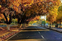  Commercial Land for Sale in Civil Lines, Raipur