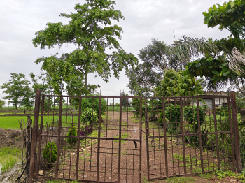  Agricultural Land for Sale in Nawagarh, Bemetara
