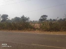  Industrial Land for Sale in Kharora, Raipur