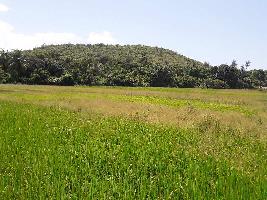  Commercial Land for Sale in Calangute, Goa