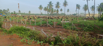  Agricultural Land for Sale in Malur, Kolar