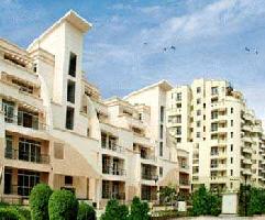 2 BHK Builder Floor for Rent in Sector 93 Noida