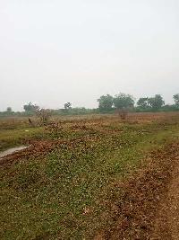  Agricultural Land for Sale in Rawatbhata, Kota