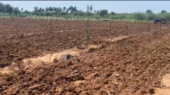  Agricultural Land for Sale in Ulavapadu, Prakasam