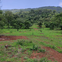  Commercial Land for Sale in Pimpri Chinchwad, Pune