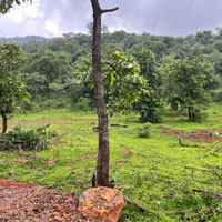  Agricultural Land for Sale in Chakan, Pune
