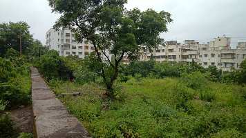  Agricultural Land for Sale in New Mahabaleshwar