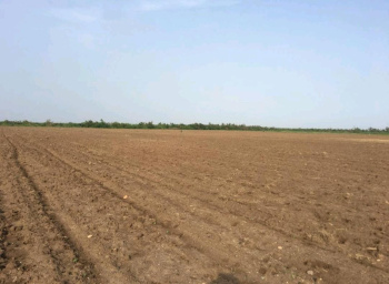  Agricultural Land for Sale in Bandra West, Mumbai