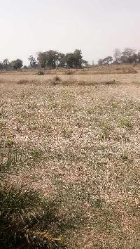  Agricultural Land for Sale in Bhilai, Raipur