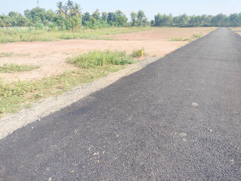  14824 Sq.ft. Commercial Land for Sale in Alangudi, Pudukkottai