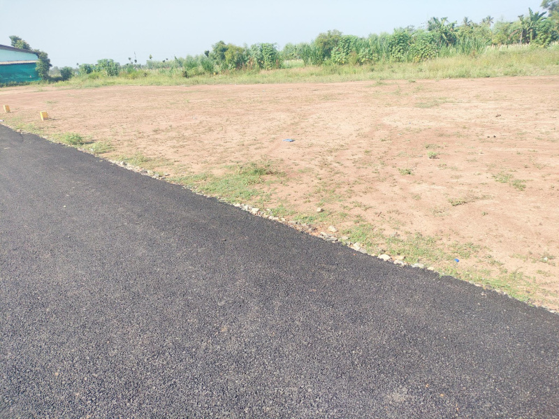 14824 Sq.ft. Commercial Land for Sale in Alangudi, Pudukkottai