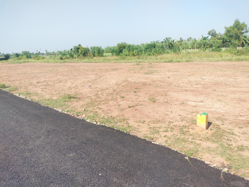  14824 Sq.ft. Commercial Land for Sale in Alangudi, Pudukkottai
