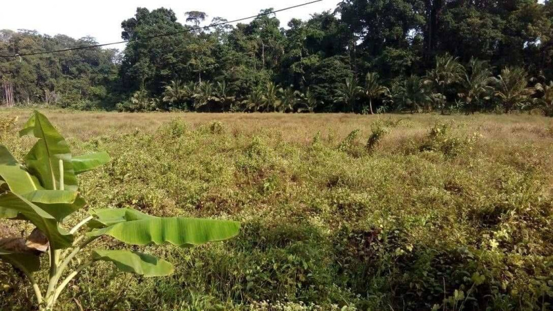  Agricultural Land 5 Acre for Sale in Havelock Island, Andaman