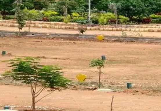  Residential Plot 200 Sq. Yards for Sale in Dakamarri, Visakhapatnam
