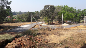  Residential Plot for Sale in Chinchinim, Goa