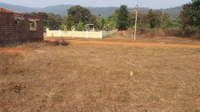 250 Sq Meter Residential Plot For Sale In Valpoi Goa REI778940 