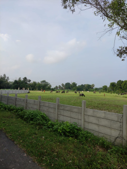  Residential Plot for Sale in Sohramau, Unnao