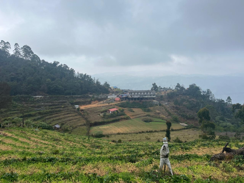  2 Acre Agricultural/Farm Land for Sale in Mannavanur, Kodaikanal