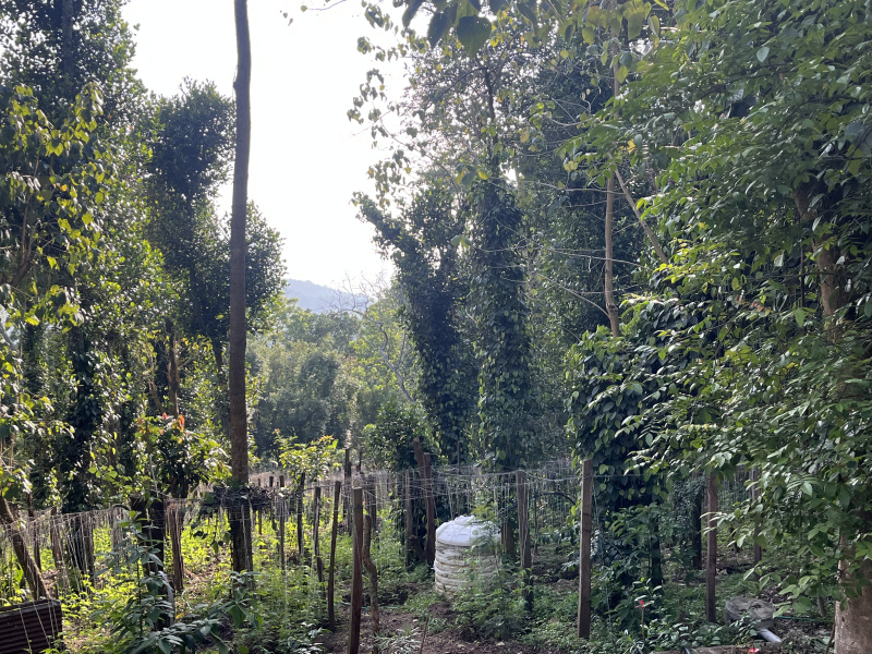  5 Acre Agricultural/Farm Land for Sale in Poolathur, Kodaikanal