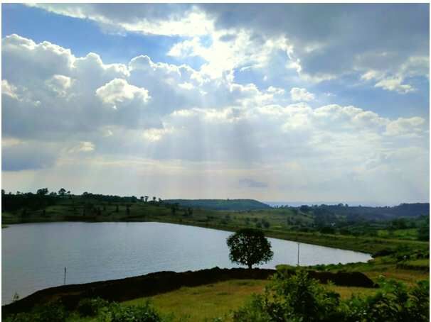  Agricultural Land 21780 Sq.ft. for Sale in Dindori, Nashik