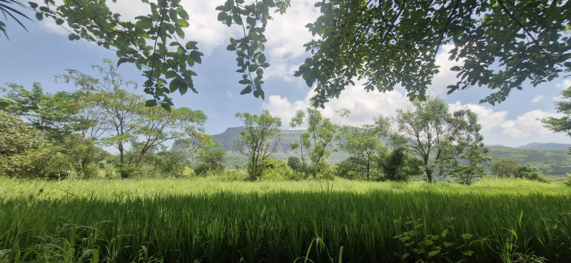  2000 Sq.ft. Residential Plot for Sale in Trimbakeshwar, Nashik