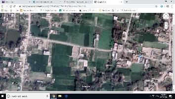  Residential Plot for Rent in Bhuindhara, Samastipur