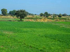  Commercial Land for Sale in Aonla, Bareilly