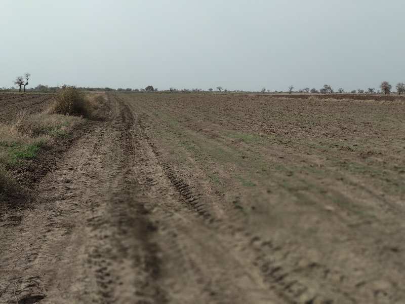 Agricultural Land 7494 Sq. Meter for Sale in