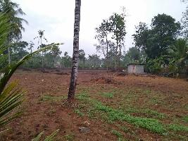  Residential Plot for Sale in Kuttanad, Alappuzha