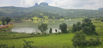  Residential Plot for Sale in Igatpuri, Nashik