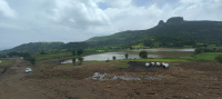 2 BHK Farm House for Sale in Igatpuri, Nashik