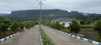  Residential Plot for Sale in Trimbakeshwar, Nashik