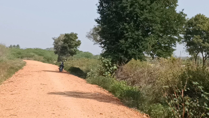  7 Acre Agricultural/Farm Land for Sale in Maddur, Bangalore