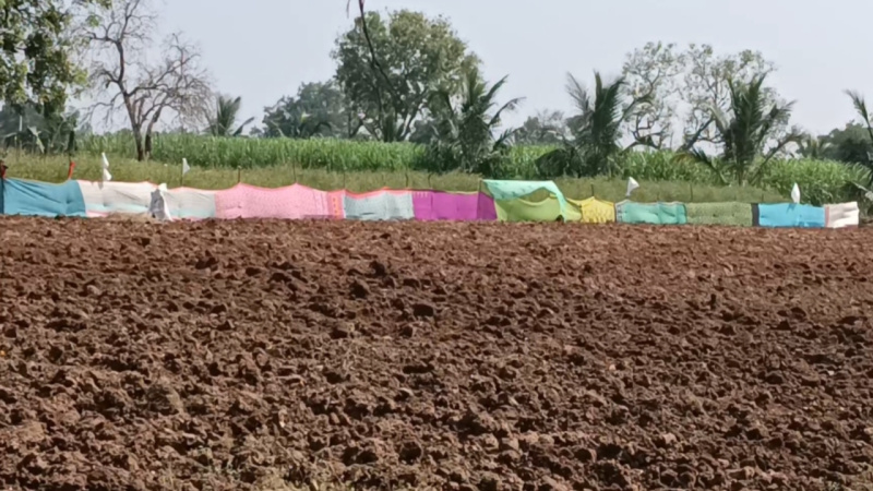  7 Acre Agricultural/Farm Land for Sale in Maddur, Bangalore