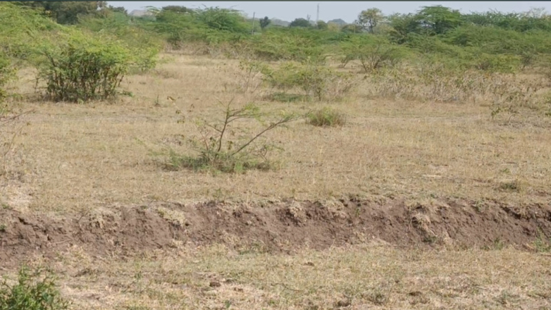  7 Acre Agricultural/Farm Land for Sale in Maddur, Bangalore