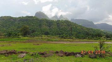  Agricultural Land for Sale in Alibag, Raigad