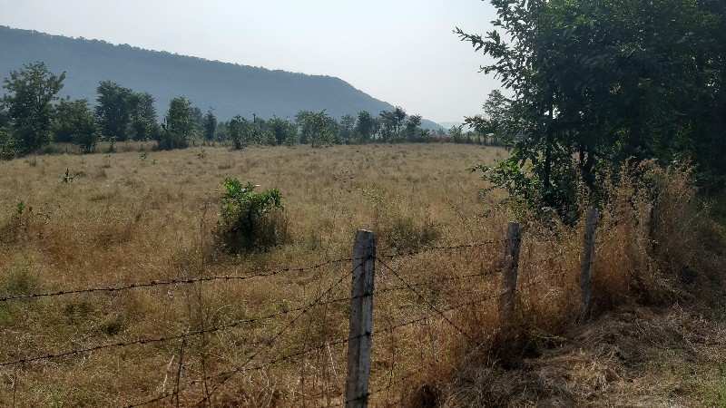  Agricultural Land 2 Acre for Sale in Poladpur, Raigad