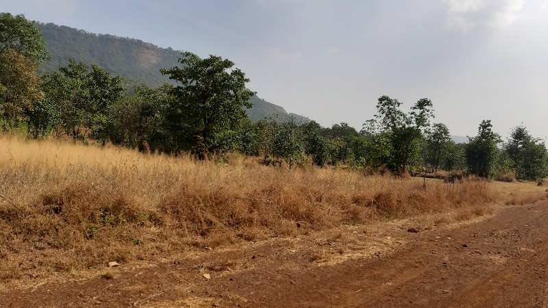 Agricultural Land 500 Acre for Sale in