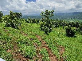  Agricultural Land for Sale in Poladpur, Raigad