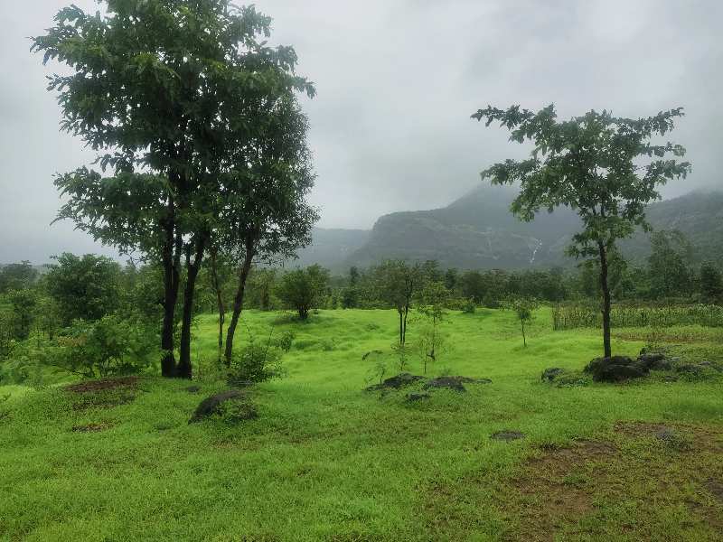  Agricultural Land 2000 Acre for Sale in Mahad, Raigad