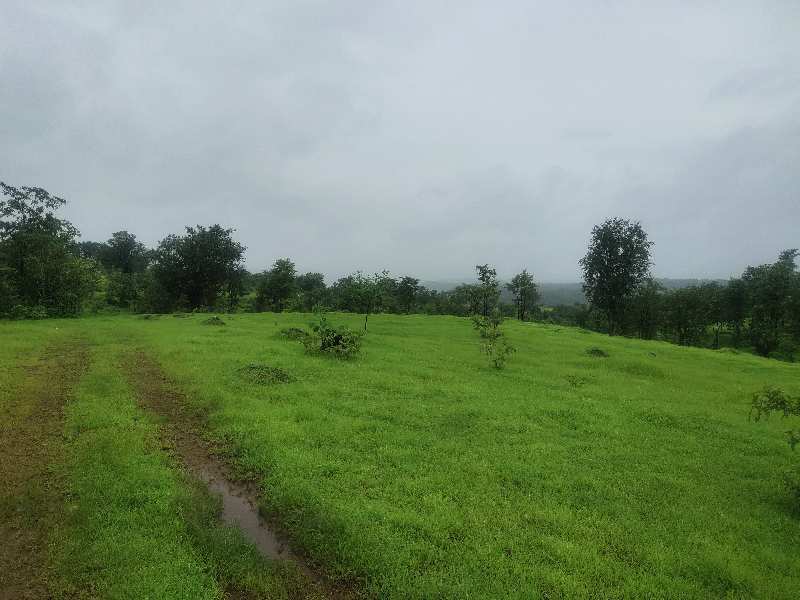  Agricultural Land 2000 Acre for Sale in Mahad, Raigad