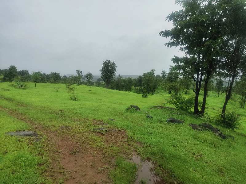  Agricultural Land 2000 Acre for Sale in Mahad, Raigad