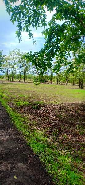  Agricultural Land 1000 Acre for Sale in Mahad, Raigad