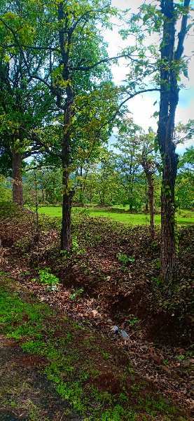  Agricultural Land 1000 Acre for Sale in Mahad, Raigad