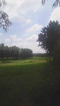  Agricultural Land for Sale in Shahabad, Rampur
