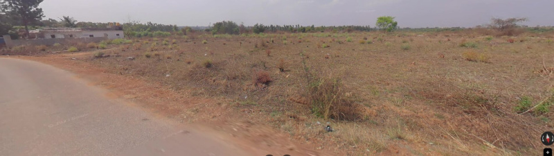  Agricultural Land 9 Ares for Sale in Hoskote Malur Road, Bangalore